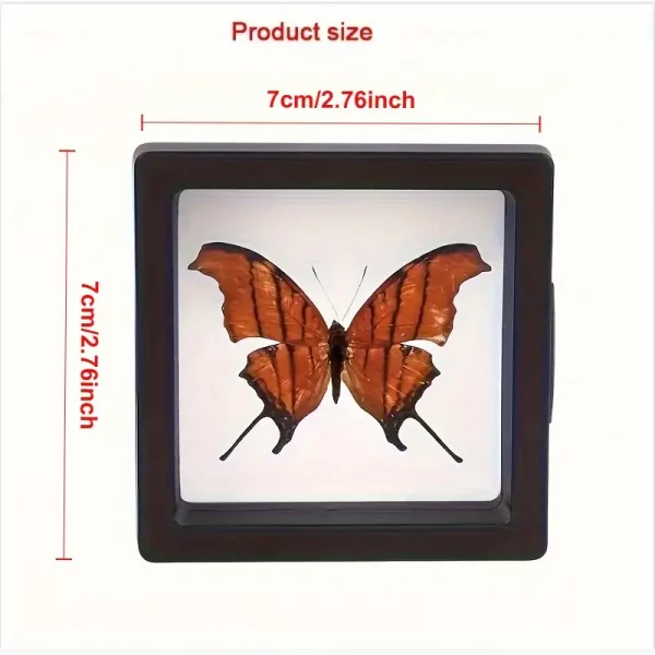 Jewellery Display Frames